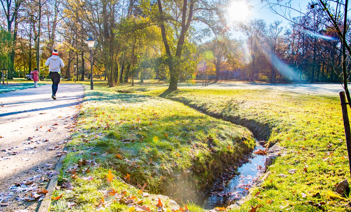 Jogging im Kurpark Bad Homburg | © Nina Gerlach; Magistrat der Stadt Bad Homburg Jogging im Kurpark Bad Homburg | © Nina Gerlach; Magistrat der Stadt Bad Homburg
